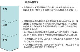橫向品牌管理 超越傳統縱向模式，以攝像及制作服務為例